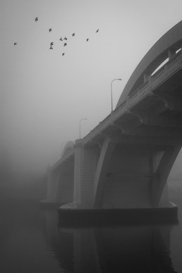 William Jolly Bridge, Escape Stock Photography, Brisbane River, Brisbane, Queensland